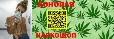 спайс Гатчина