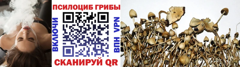 Псилоцибиновые грибы MAGIC MUSHROOMS  как найти закладки  Борисоглебск 