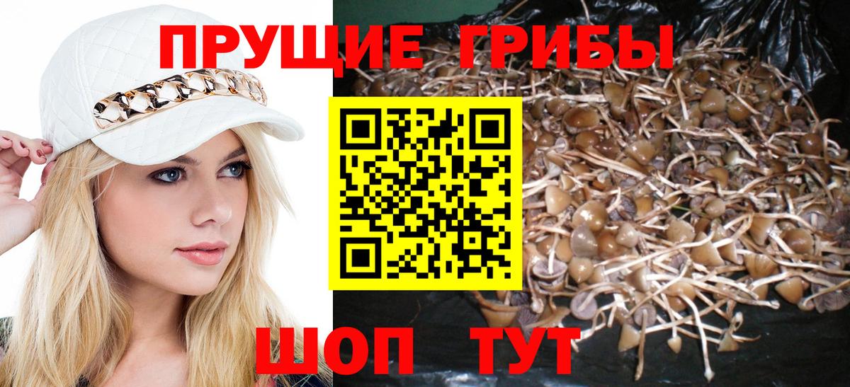 Галлюциногенные грибы ЛСД  Галлюциногенные грибы Psilocybine cubensis  Борисоглебск  Вход с VPN 
